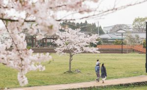 正社員とフリーランス 妊活のしやすさ、キャリアの満足度を徹底検証② 正社員とフリーランス 妊活のしやすさ、キャリアの満足度を徹底検証②